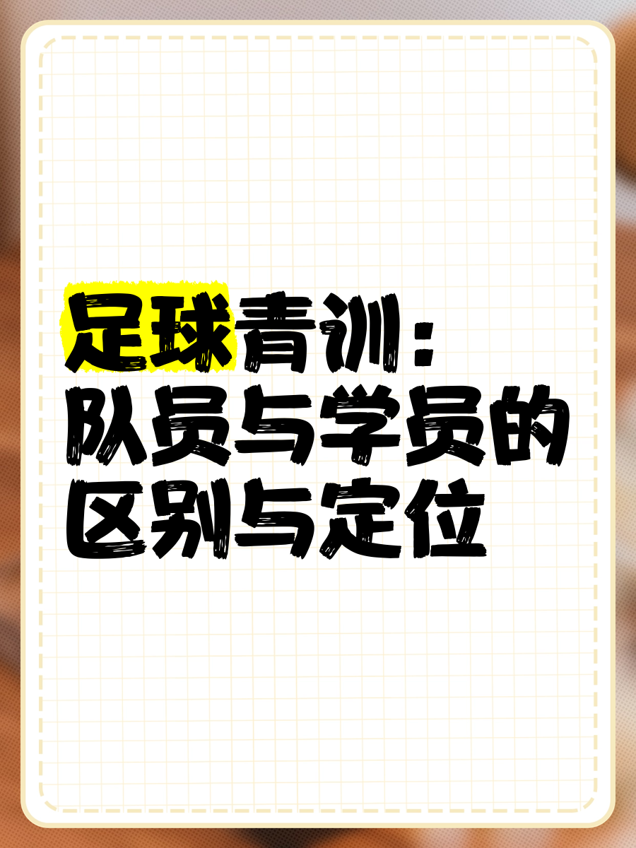 Jiu You-青训体系国际化步伐加快，与多国合作培养国际化少年球员的简单介绍