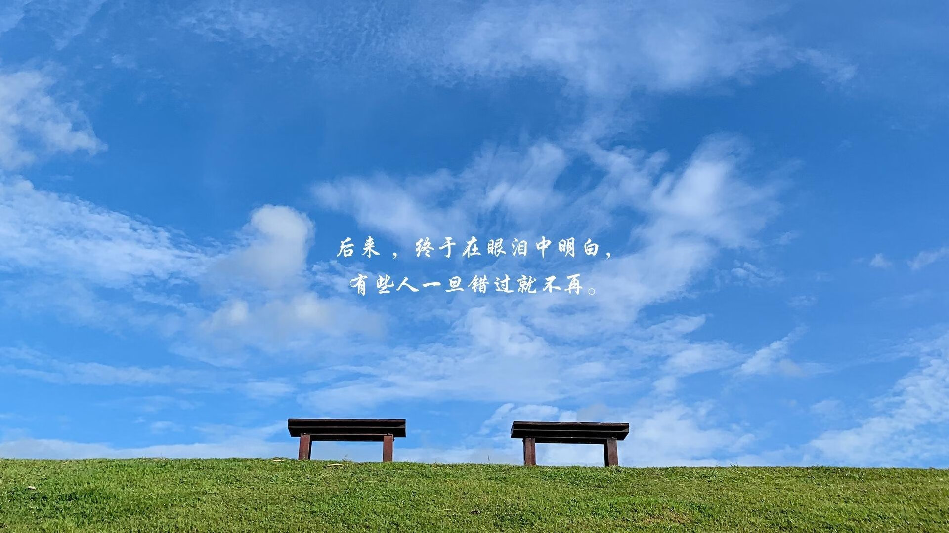 九游电脑版-全国青少年携手跑，运动让梦想更接近现实，全国青少年运动比赛