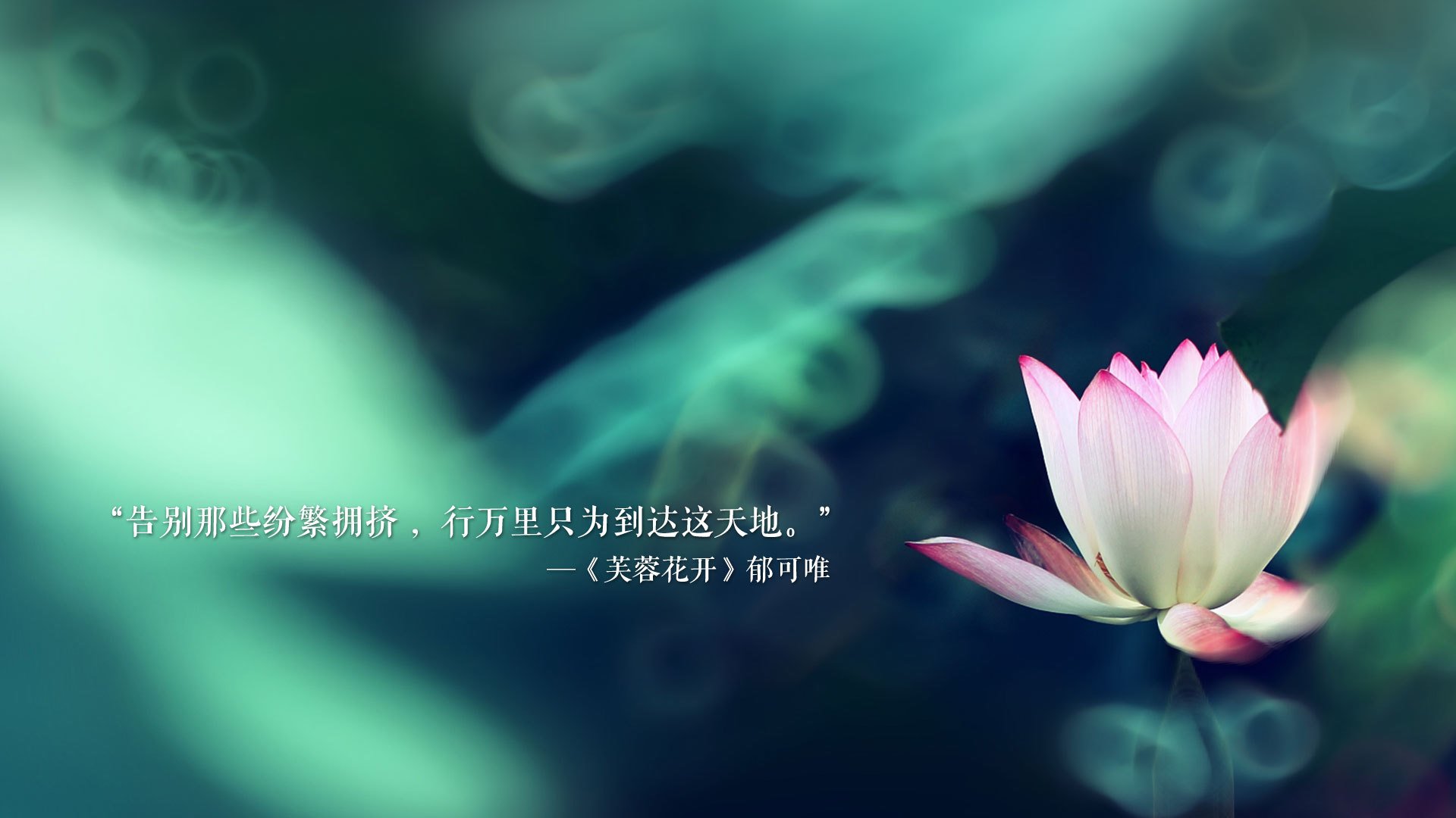 东契奇连续三场三双状态恐怖，东契奇三双纪录
