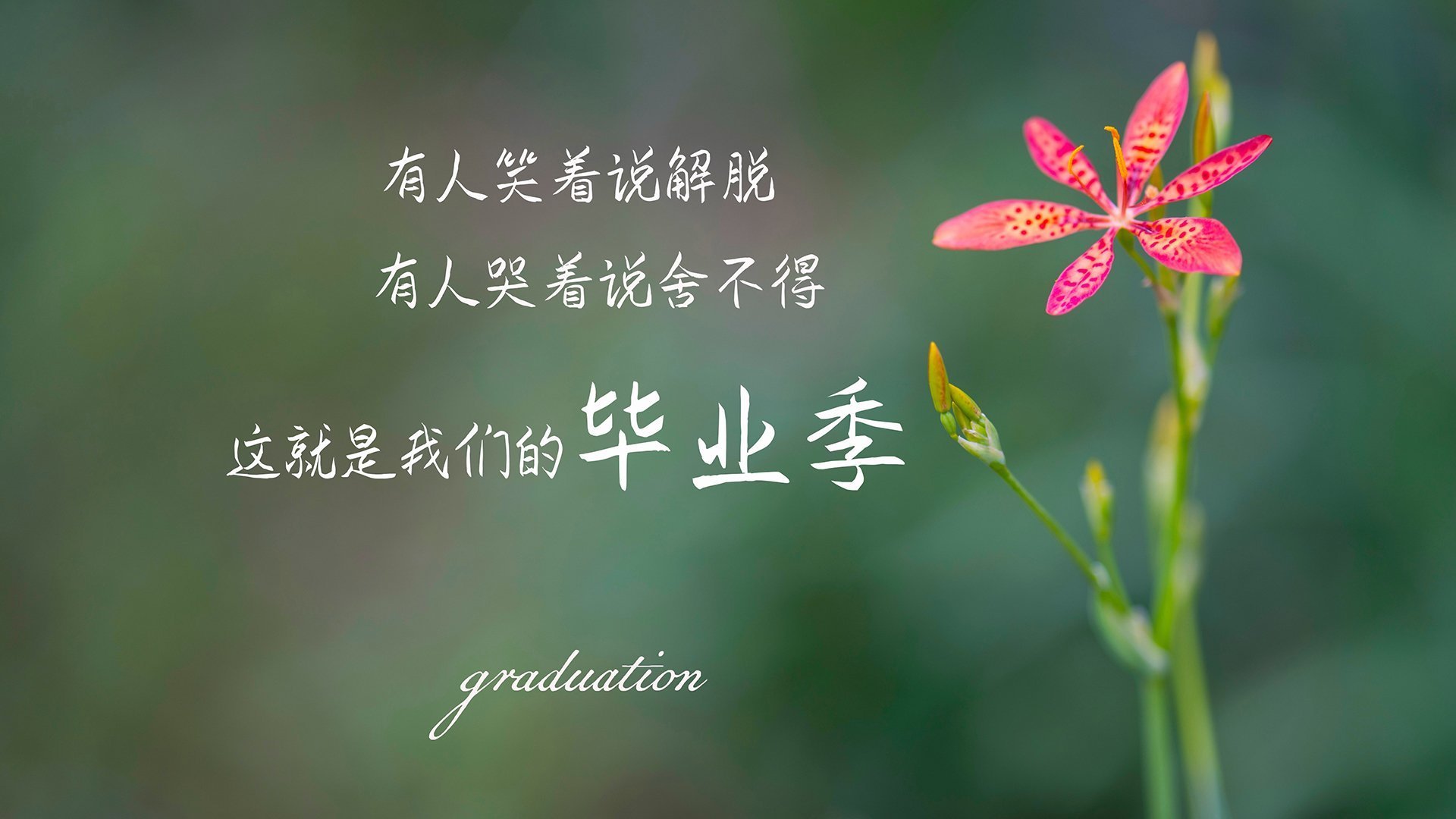 尼斯主场惜败，法甲卫冕梦或将破灭，尼斯主客场球衣