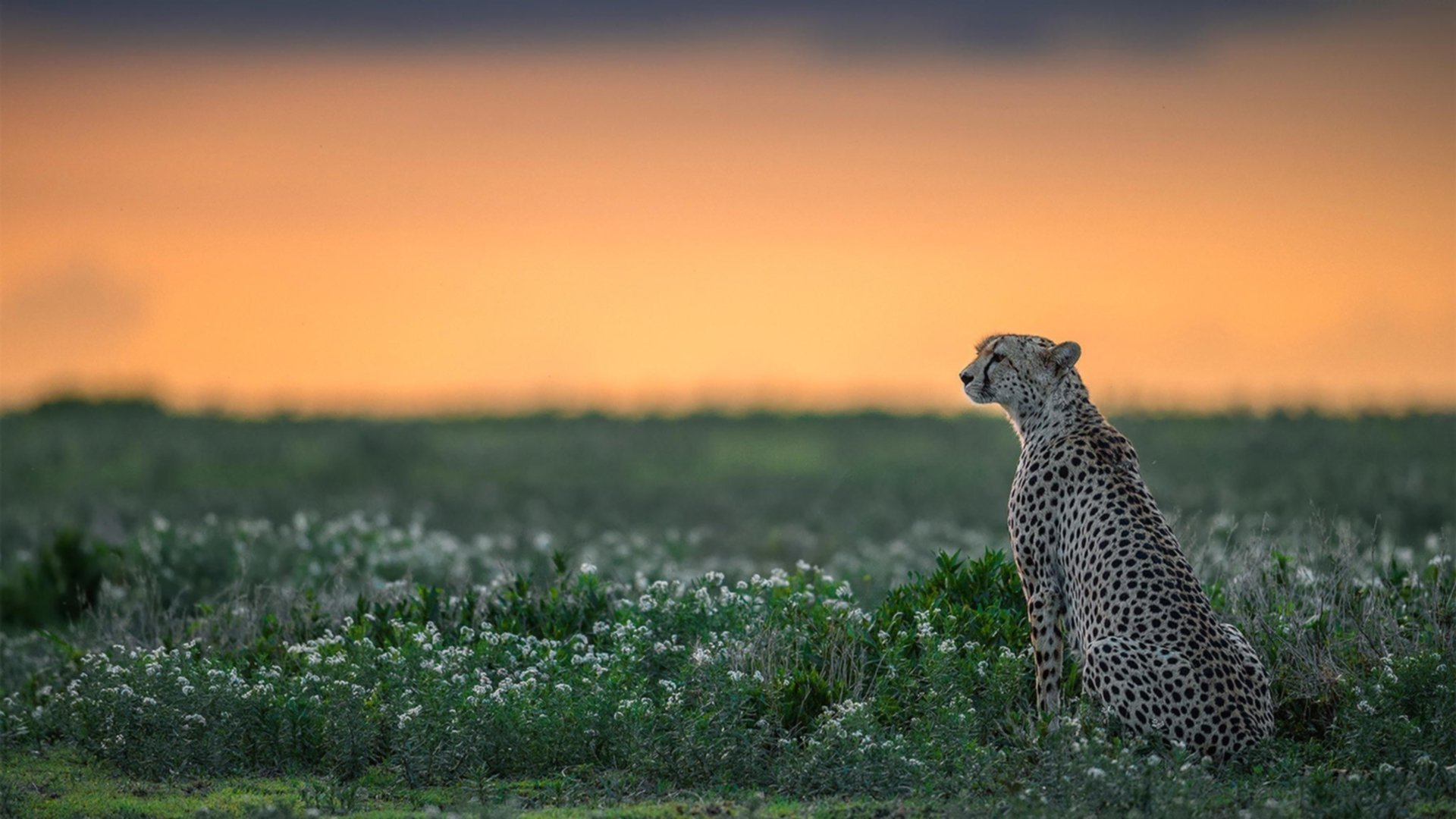 比赛选手英勇争先,力争出彩,选手们奋勇争先