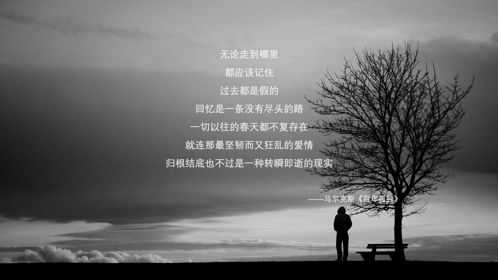 维达德卡萨布兰卡引进外援球员，增强球队实力，卡萨布兰卡 简介