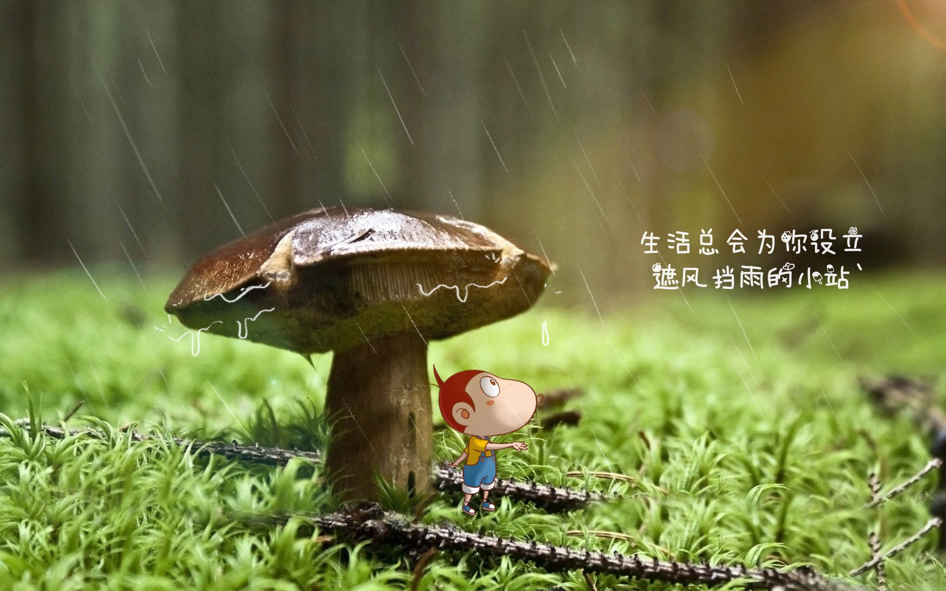 意甲球队数据分析提升中场组织效率，意甲中场排名