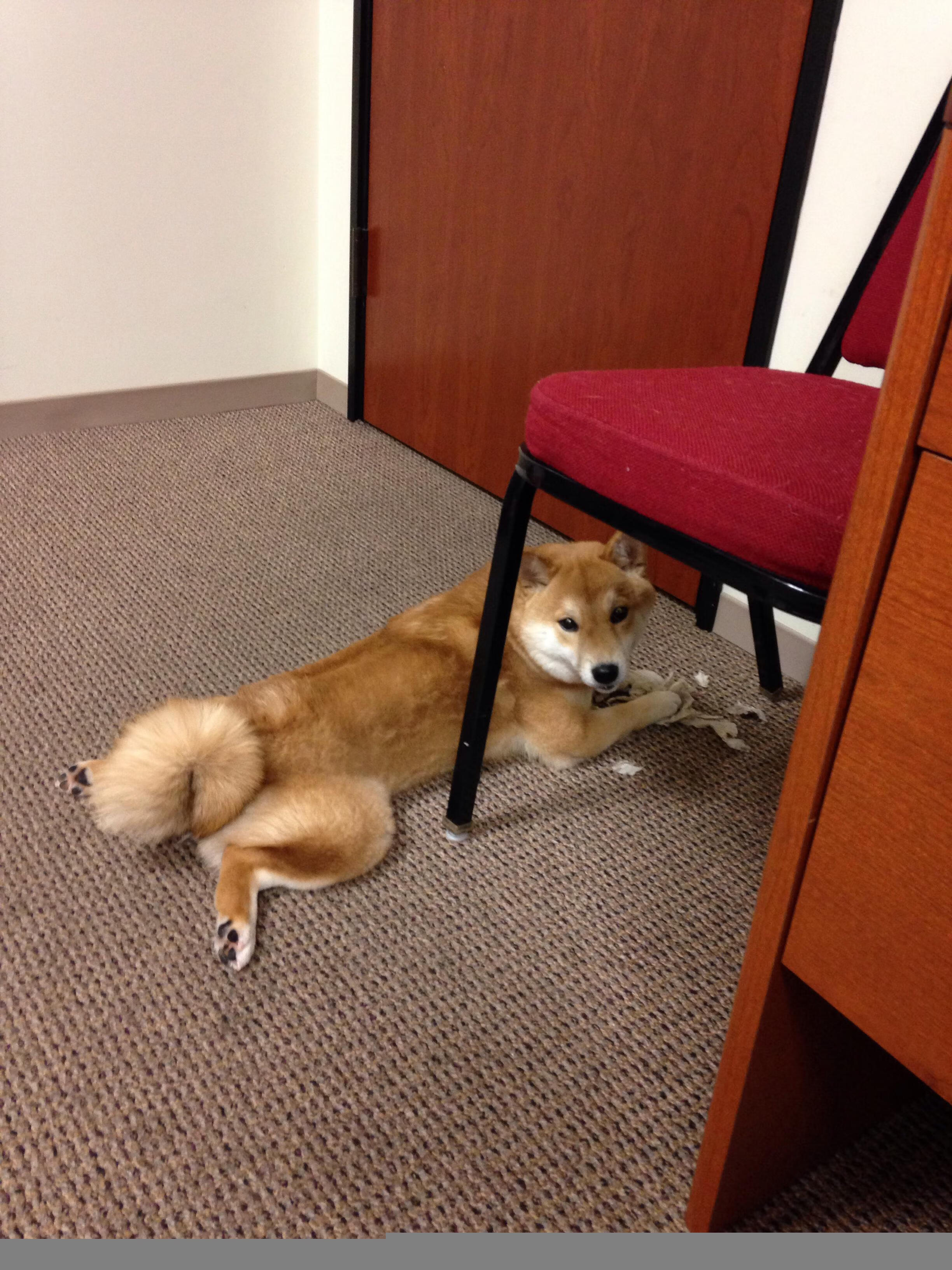 九游游戏中心官网-意甲精妙配合：默契十足，成就经典！，意甲各队关糸