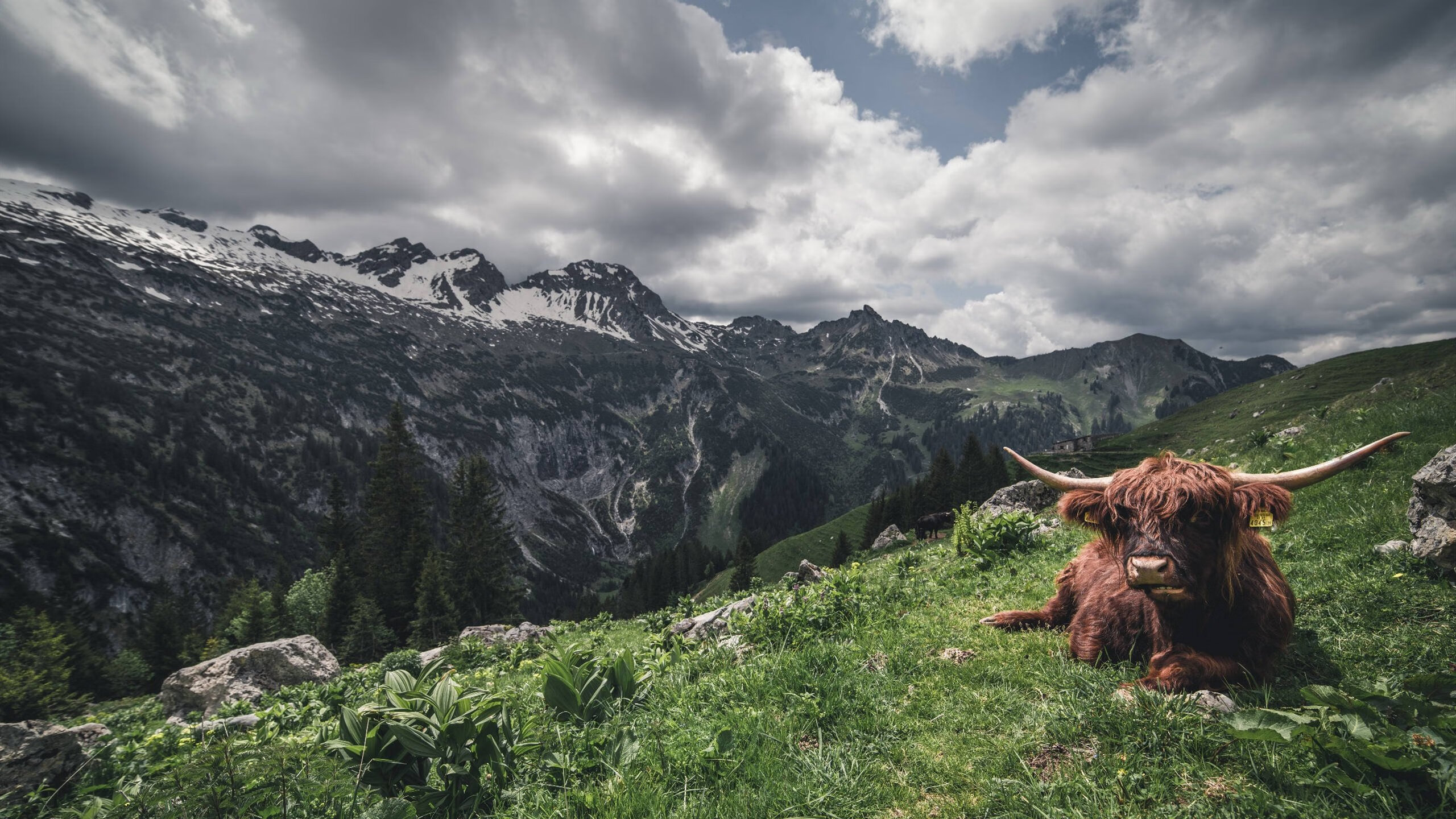 九游娱乐(jiuyou)官方网站-西甲超级射手：持续发光，秒杀对手！，西甲十大射手